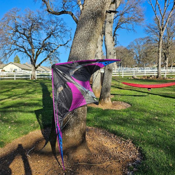 Prism Quantum 2.0 Surf City Special - Contusion - KITE ONLY