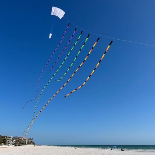 Prism Kite Technology Tube Tail 75ft for sale online 